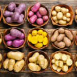 Ipomée vivace : Guide complet pour une floraison abondante et éclatante au jardin