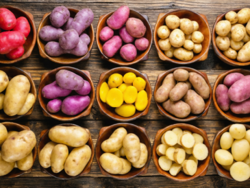 découvrez notre guide complet pour bien choisir vos pommes de terre avec un tableau détaillé des différentes variétés et leurs utilisations culinaires.