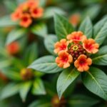 Fruits sur arbre : guide complet du calendrier de récolte, du cycle de vie et astuces essentielles