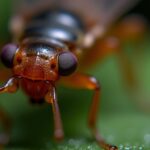 Guide pratique : Calculer facilement les mètres carrés de vos terrains et pièces