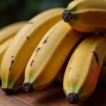 Casanette : définition, utilisations et astuces pour faire le meilleur choix