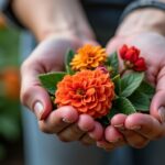 Croton : guide complet pour entretenir et cultiver une plante d’intérieur éclatante de couleurs